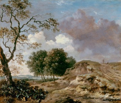 Landschap door Jan Wijnants